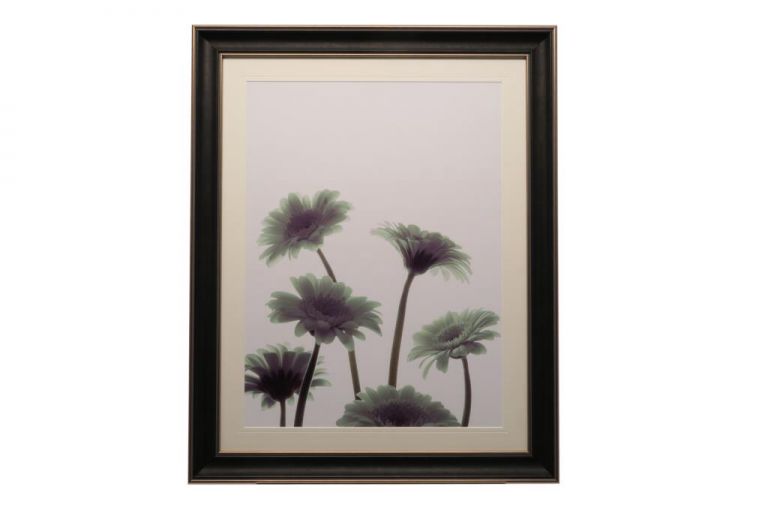 13408 Brume
 107 x 85cm
