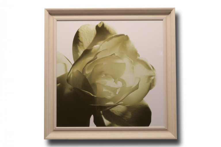13411 Pistachio Rose
86 x 86cm