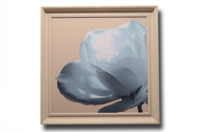 13412 Ice Blue Rose
86 x 86cm